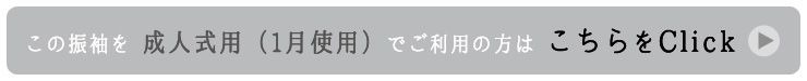 成人式用の商品ページはこちら